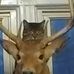 Christopher Bertrand - Facebook