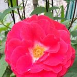 Christopher Biggs - @christopher.biggs.71653 - Instagram
