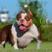 Christopher Birmingham - Facebook