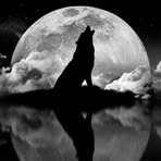 Christopher Birnie - Facebook