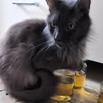 Christopher Black - @blacky_aka_stopfer - Instagram