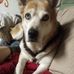 Chris Blackman - Facebook