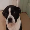 christopher blanc - @christopher.blanc3 - TikTok