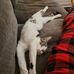 Christopher P Blount - Facebook