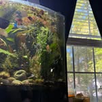 Christopher Blum - @cblum47 - Instagram