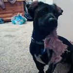 Christopher Blume - @christopher.blume - Instagram