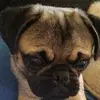 Christopher Blume - @christopher.blume3 - TikTok