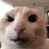 Christopher Boles - @christopherboles6133 - TikTok