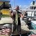 Chris Bonnette - Facebook