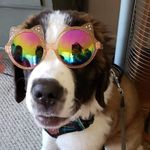 Christopher Boomer - @boomerchristopher - Instagram
