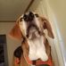Chris Bostic - Facebook