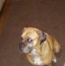 Chris Boughner - Facebook