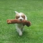 Christopher Bowles - @chrisbowlesuk - Instagram