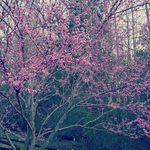 Christopher Bowles - @bowles720 - Instagram