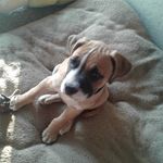Christopher Bowser - @christopher.bowser.73 - Instagram