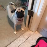 Carol Christopher M. Brabazon Sr. - @carol.brabazon - Instagram