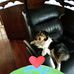 Chris Brainard - Facebook