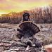 Chris Brainard - Facebook