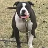 Christopher Breeding - @christopher.breed - TikTok