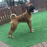 Christopher Breen - @christopher.breen - Instagram