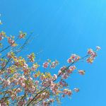 Christopher Bridge - @christybridge1 - Instagram