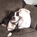 Christopher Brighton - @christopher112433 - Instagram