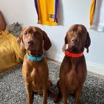 Christopher Brighton - @christopher.brighton.1 - Instagram