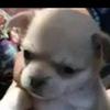 Christopher Brito - @christopher_1382 - TikTok