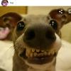 christopherbrito401 - @christopherbrito401 - TikTok