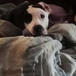 Christopher Broadbent - @christopherwaynebroadbent - Instagram