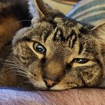 Christopher Brodeur - @brode26 - Instagram