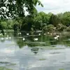 Christopher_Brogan - @Christopher_Broga - TikTok