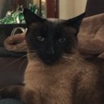 Christopher Bromley - @chrissoccerman34 - Instagram