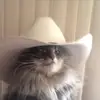 CHRISTOPHER DEBRUM - @christopherdebrum - TikTok