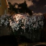 Christopher Bruneau - @christopherbruneau - Instagram