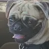 Christopher Bryan - @christopherbryan501 - TikTok