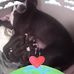 Chris Burchett - Facebook