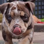 Christopher Burrow - @_chrisburrow - Instagram