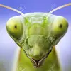 Christopher Burrow - @_0_976 - TikTok