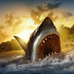 Christopher Busch - @busch2446 - Instagram