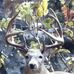 Christopher Buzzelli - Facebook