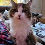 Christopher Caldicott - Facebook