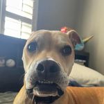 Christopher Capps - @chris.r.capps - Instagram