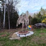Christopher Cardillo - @cardillo.christopher - Instagram