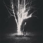 Christopher Carrasquillo - @chris.carrasquillo - Instagram