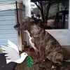 Christopher Cascio - @christophercascio - TikTok
