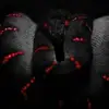 christophercasler8 - @christophercasler8 - TikTok