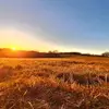 Christopher Casper - @christopher.caspe3 - TikTok