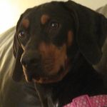 Christopher neo castellano - @neocastellano2005 - Instagram