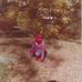 Christopher Catalano - Facebook
